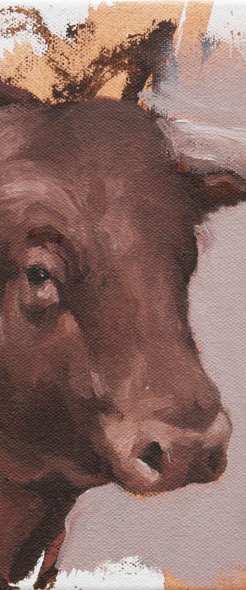 Toro Head Colorado (study 22) by Zil Hoque