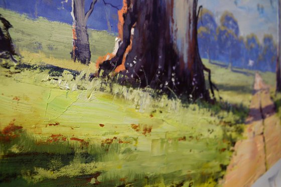 Australian Valley Gum Trees