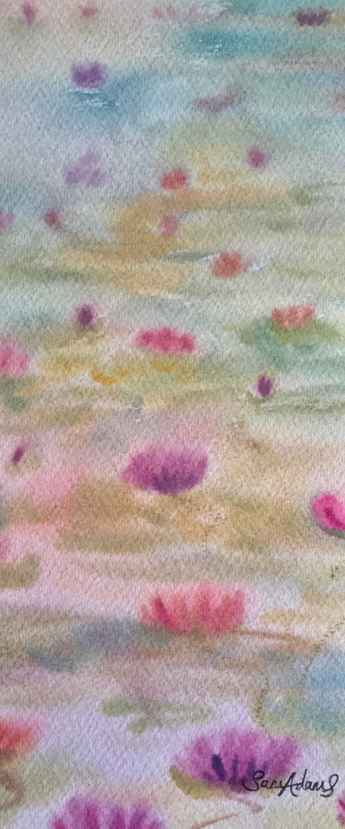 The beauty of waterlilies by Samantha Adams