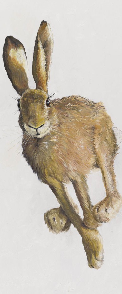 March Hare 1 by Lydia Cunningham