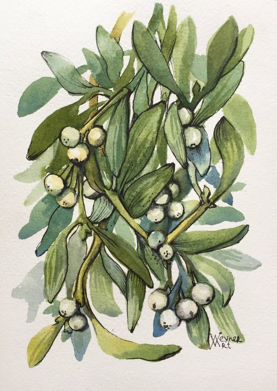 Mistletoe. Christmas decor. Christmas painting.