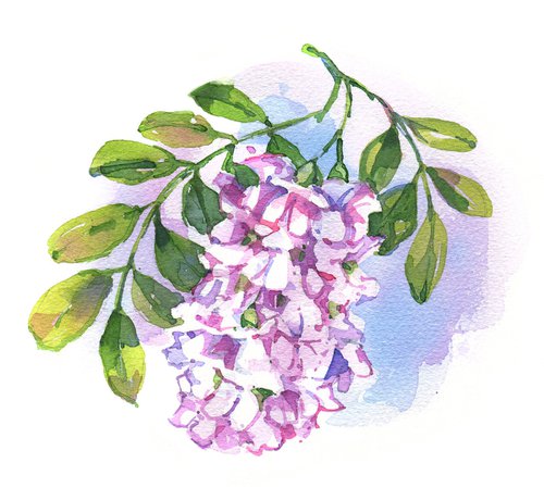 "Sprig of blossoming pink acacia" original watercolor painting by Ksenia Selianko