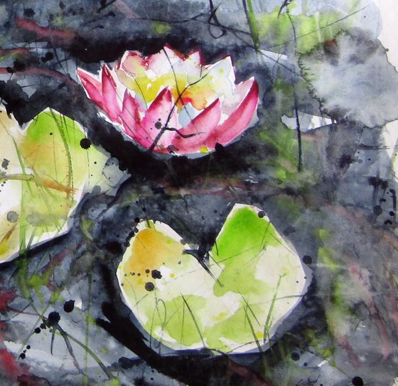 Water lilies IV