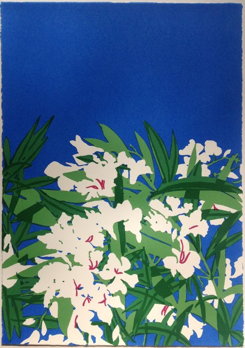 Oleander by Anne  McKenzie