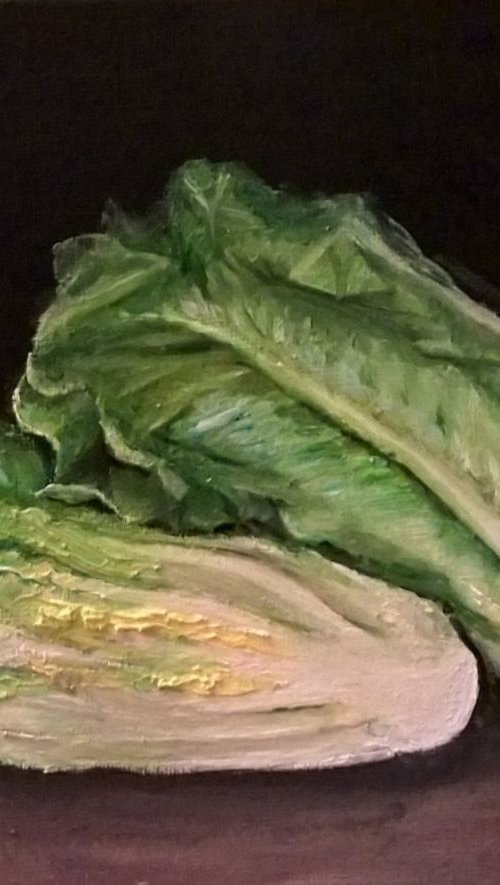 lettuce still life by Viktória Déri