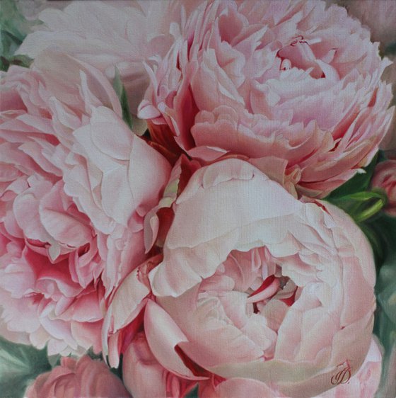 THREE PINK PEONIES