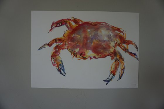 Crab watercolour