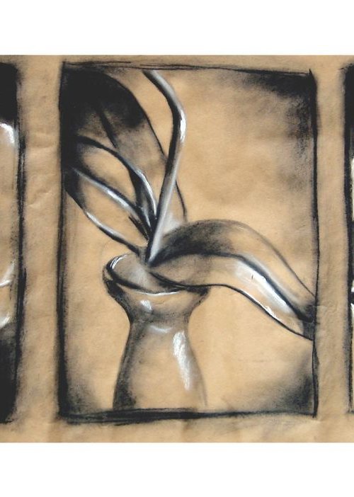 Charcoal Orchid Study by Dyanna Dimick