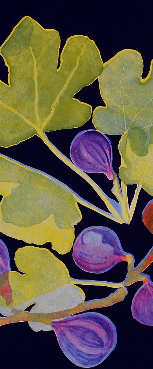 Nature's Jewels by Helen Boden