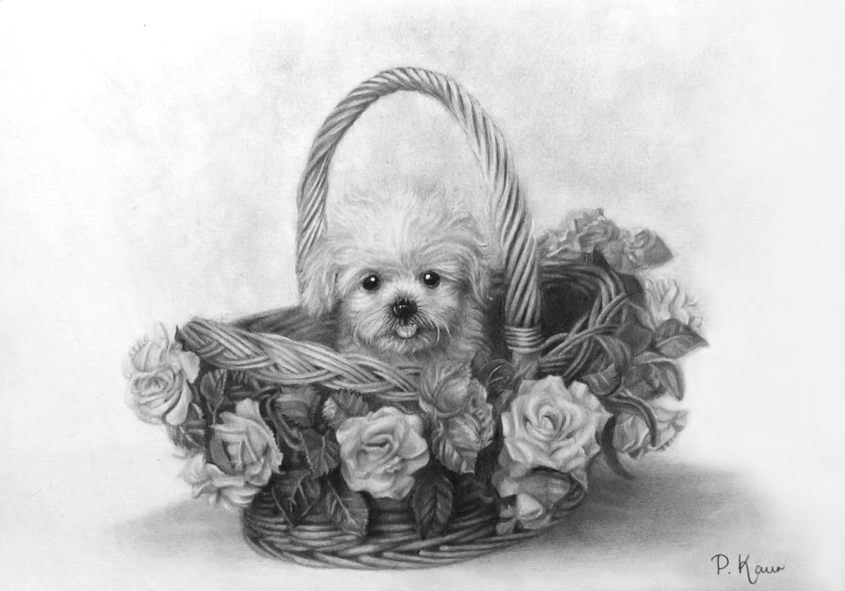 Puppy in a Flower Basket by Paramjot Kaur