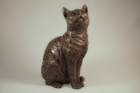 Sitting Cat BR