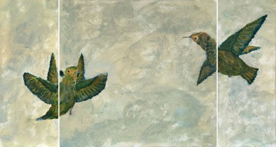Study of hummingbird V a+b+c