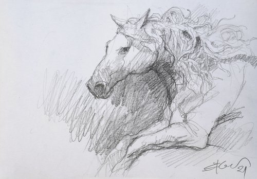 Running horse by Goran Žigolić Watercolors