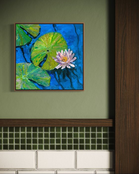 Water lily