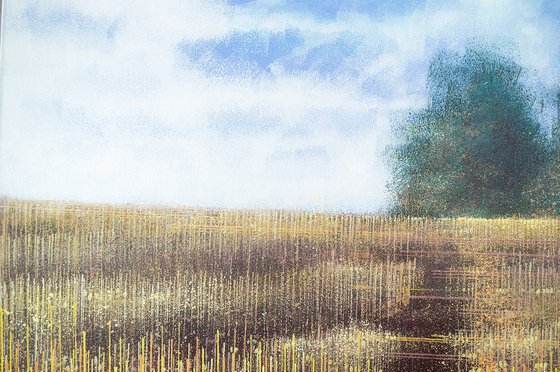 Meadow In Late Summer 3