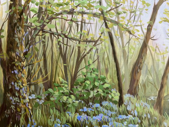 Springtime in the Woods VI