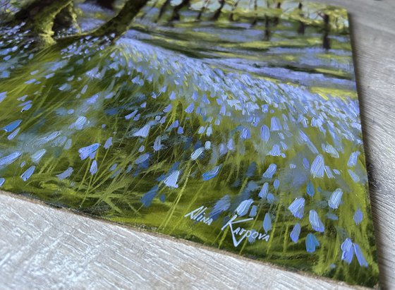 Bluebell wood