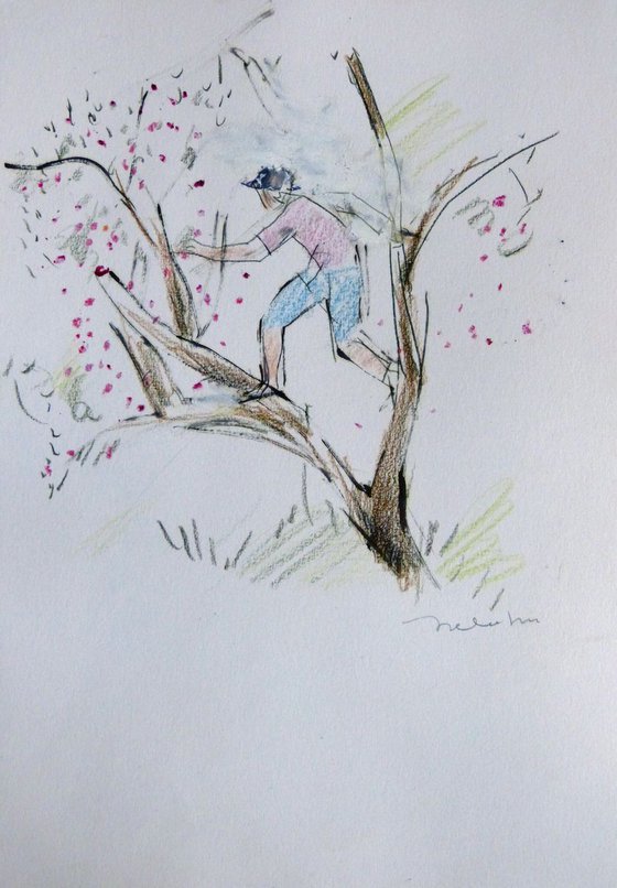 The cherry picker, pencil drawing 29x42 cm