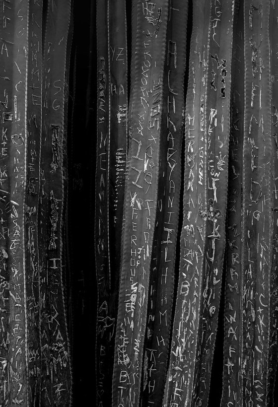 Cactus Graffiti - The Jardin Majorelle in Marrakech