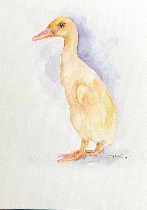Pekin Duck Sam by Arti Chauhan