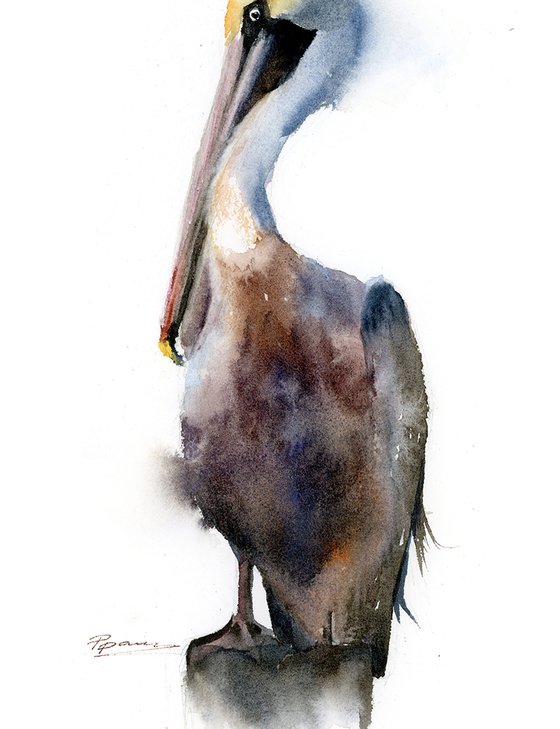 Brown Pelican  -  Original Watercolor Painting