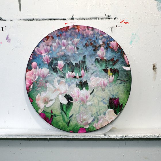 Magnolia (diapositive)