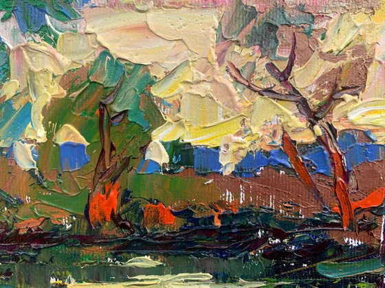 Evening over the pond