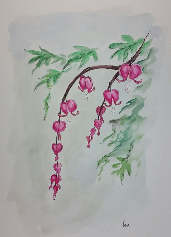 Bleeding Hearts