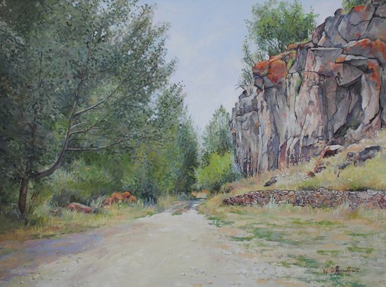 Road Through the Gorge