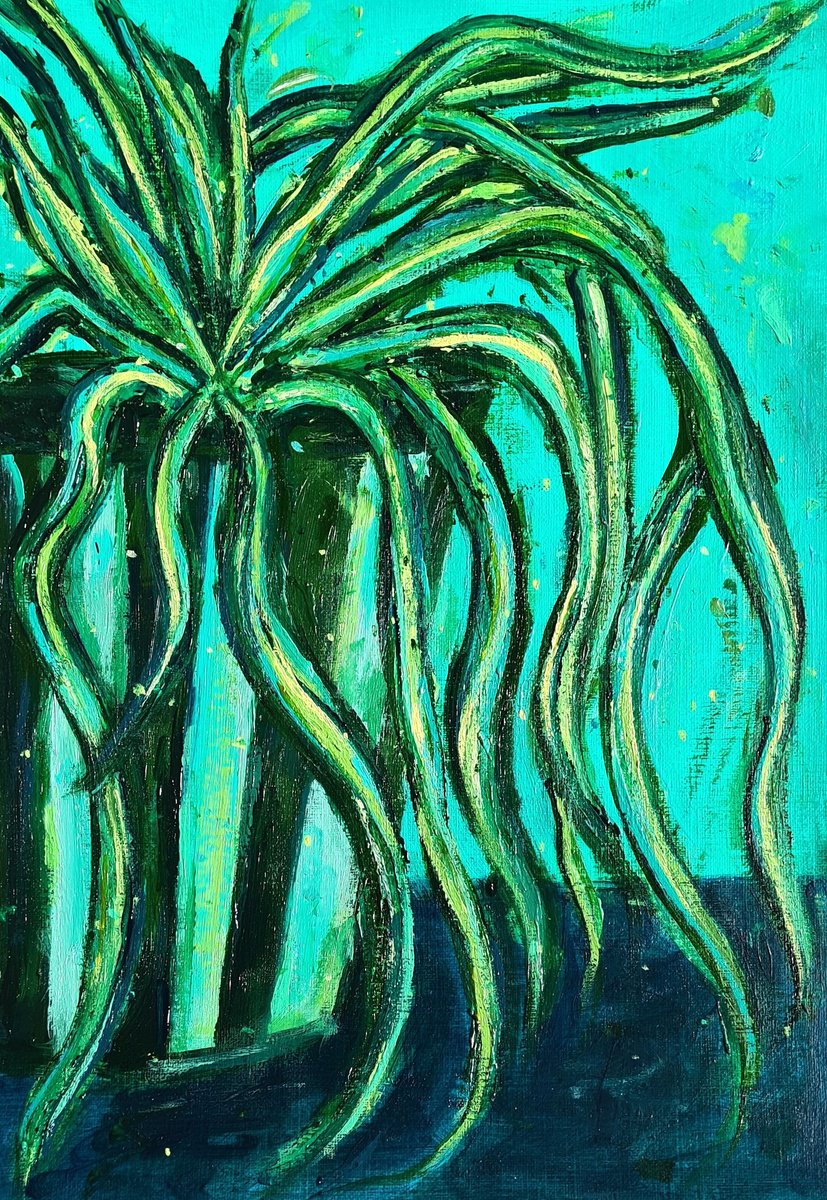  Spider Plant By Dawn Underwood, 8 X 12, Artwork For Sale On Artfinder