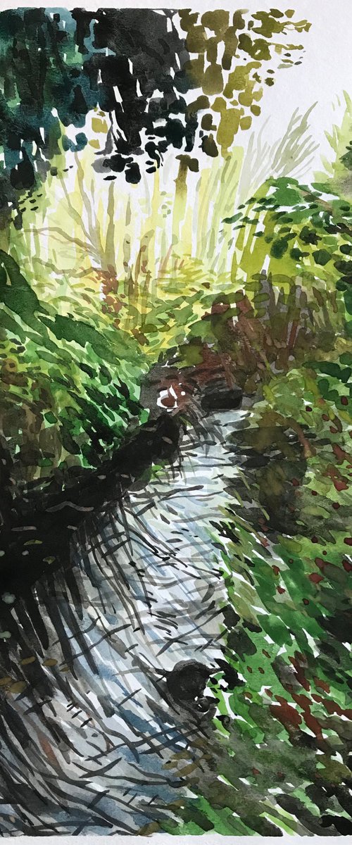 Forest Stream by Kitty  Cooper