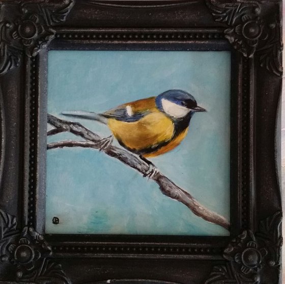 Blue tit