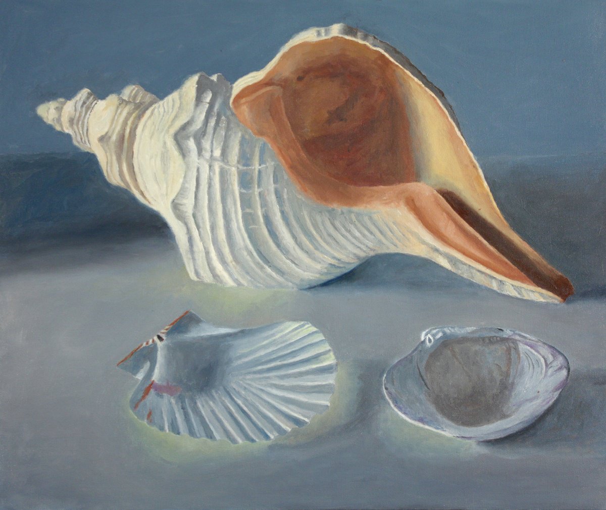 Photorealistic Still Life Oil Painting By Douglas Newton, 24 X 20, Conch Shell, Original Artwork