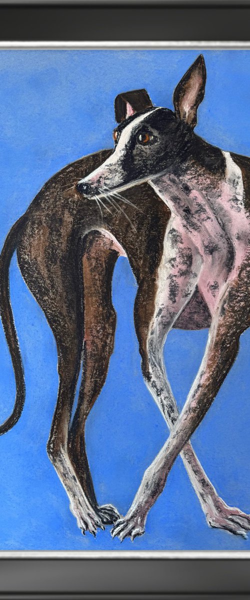 Dogs Portrait Soft Pastel Galgo español by Yuliia Sharapova