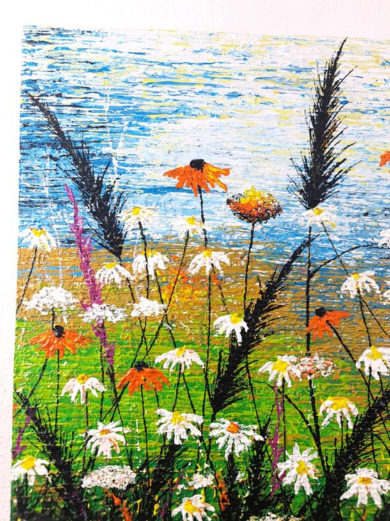 Daisy magic meadow