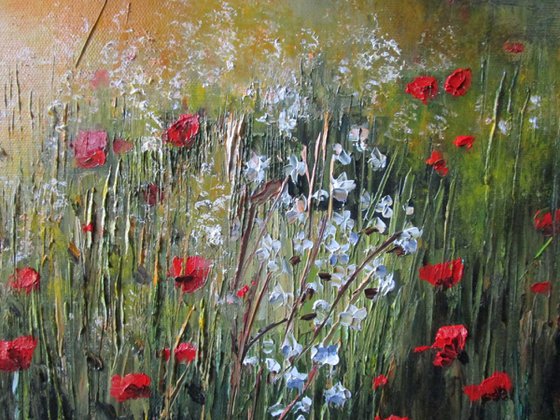 The Last of the Poppies