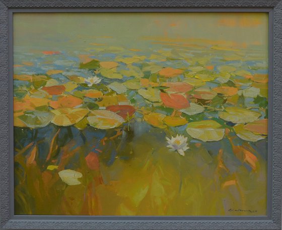 Water Lilies