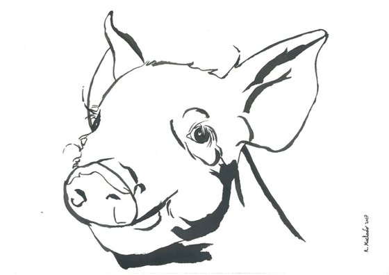 Pig I Animal Drawing