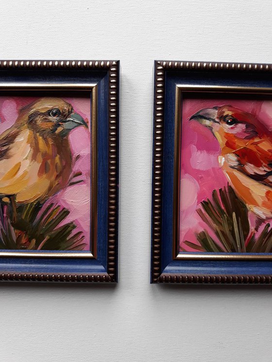 Love couple of crosbill birds original painting in frame