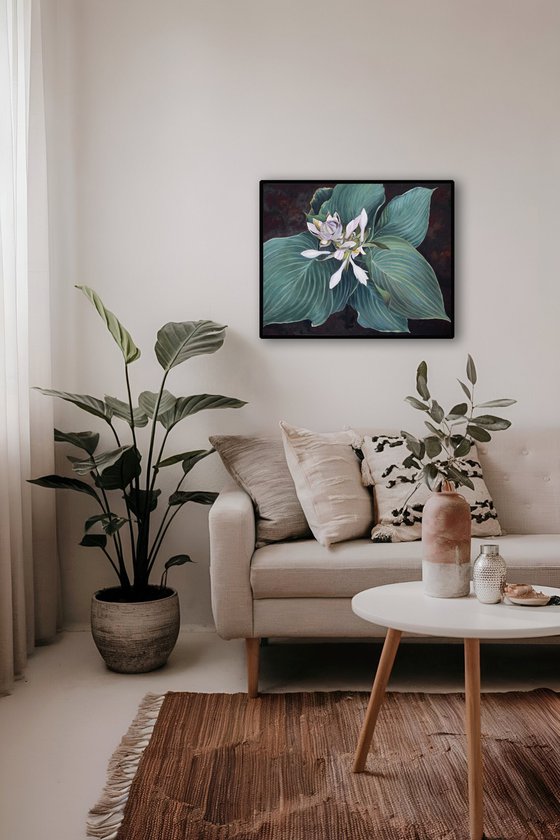Hosta