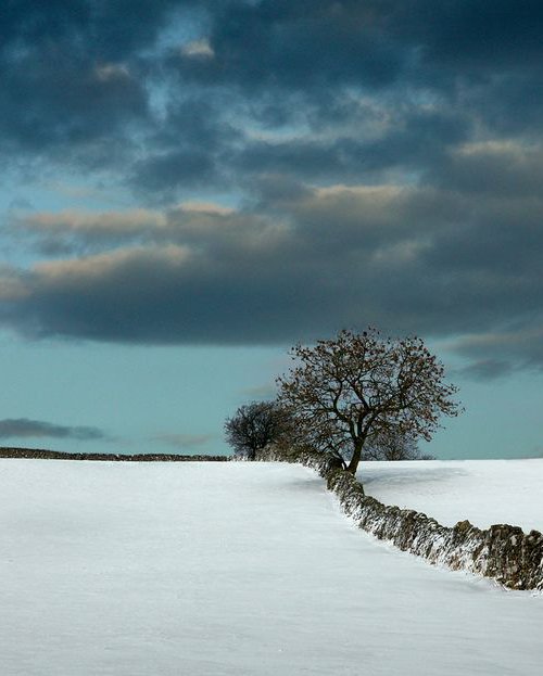 Barn and tree on skyline by DAVID SLADE