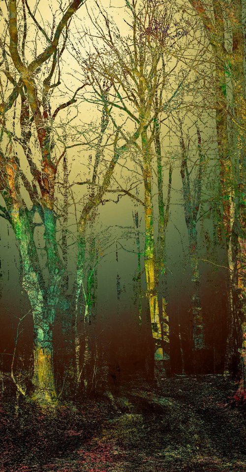 Woodland 8972 23 by Geert Lemmers FPA