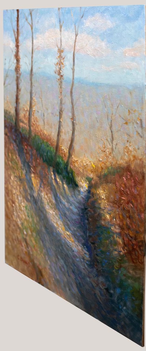 A Sunny February's Day on a Hill by Gav Banns