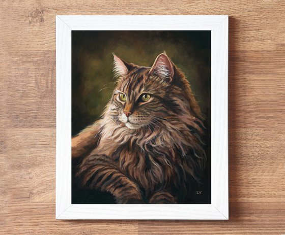 Majestic Maine Coon cat with green eyes