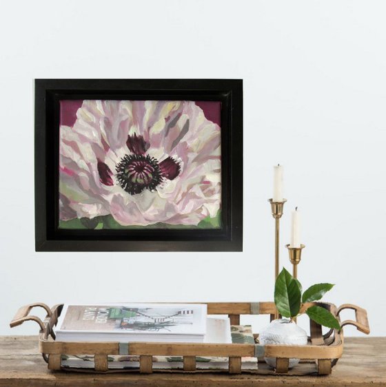 white poppy