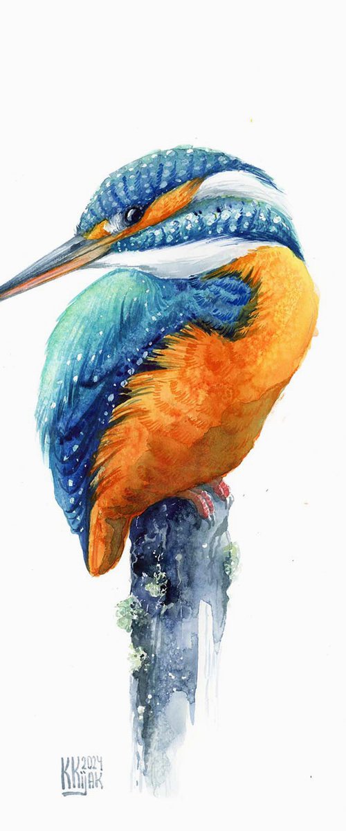 Kingfisher, pond sapphire by Karolina Kijak