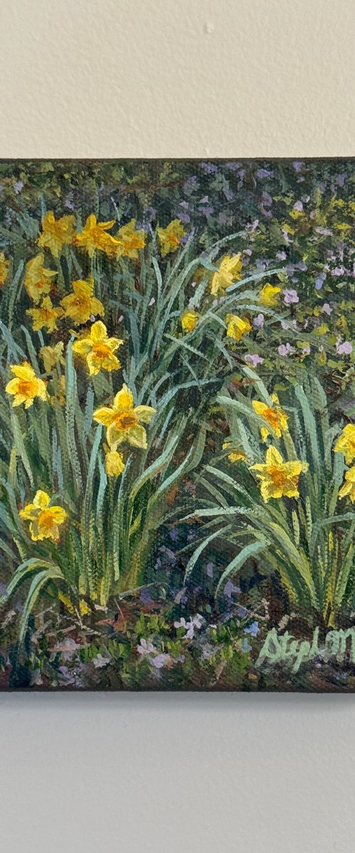 Daffodil Bunches by Steph Moraca