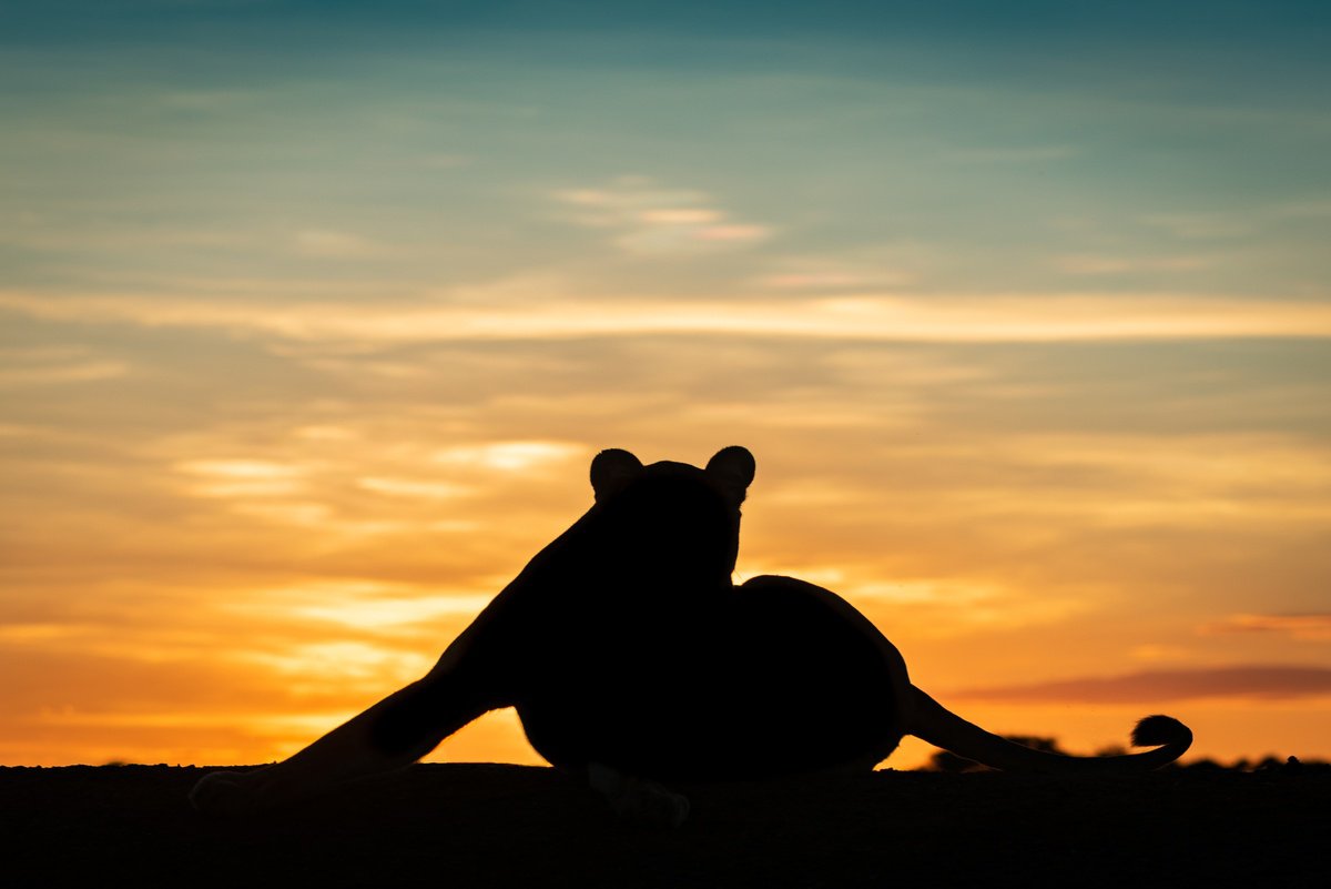 Dawn Yoga by Nick Dale