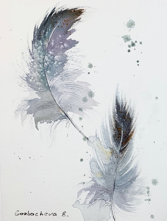 Feathers #2