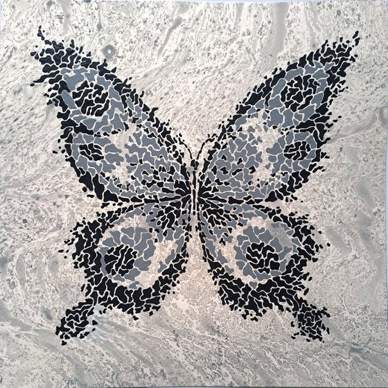 Butterfly «Night Wind»